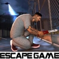 Survival Prison Escape V3(Խ׿)1.2 °