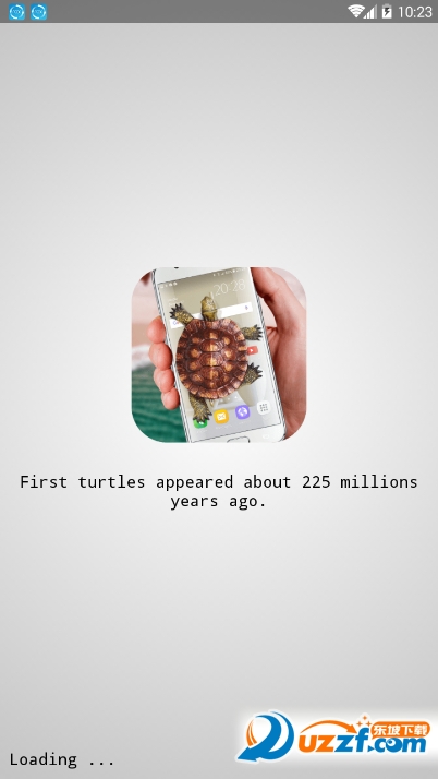 Turtle Walks in Phone Joke(Ļʾڹ)ͼ