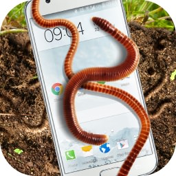 Earthworm in phone slimy joke(ֻϿɰЦ)2.1 ׿ֻ