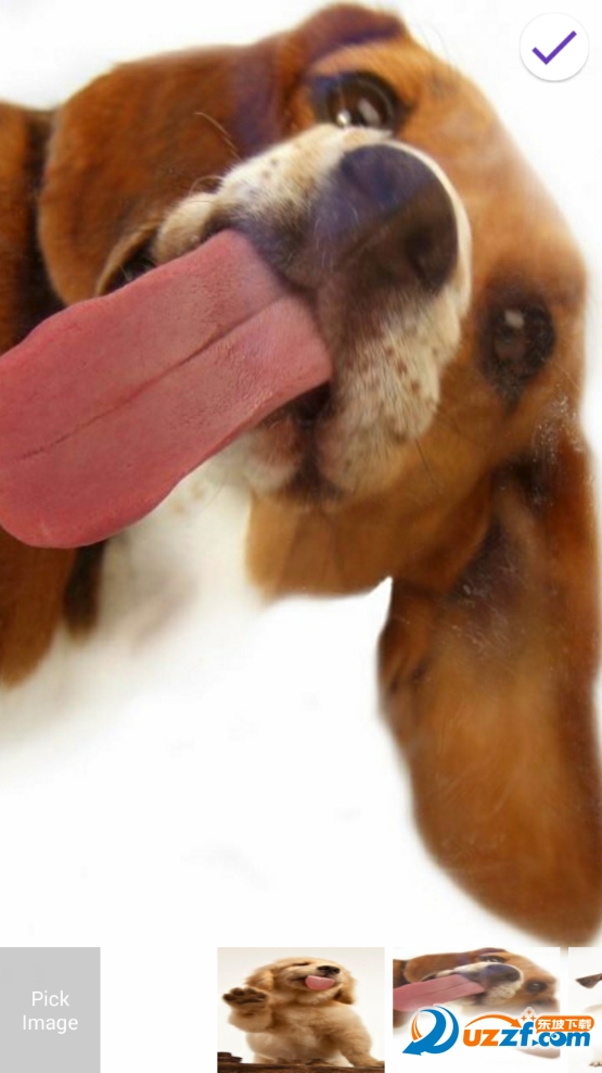 Dog Licks Lock Screen(Ļapp)ͼ