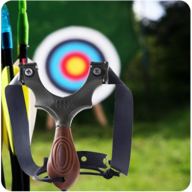 Archery Sling Shoot Master 3D(ʦ3D)