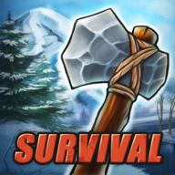 Survival Game Winter Island()1.1 ׿°