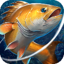 �����������3.1 ��׿��