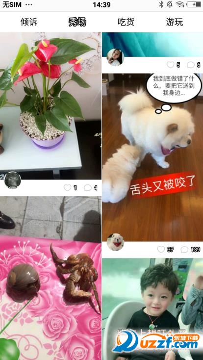 她拍app截图