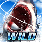 Wild Fishing Simulator(Ұģ)1.1.0 ׿