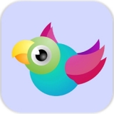 Bouncy Birds(׿)0.8.0 ٷ°