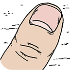 �����ֻ�ǰ������1.0.1 ��׿���°�