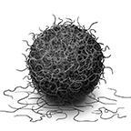 ë�K����1.0.3 ��׿���°�