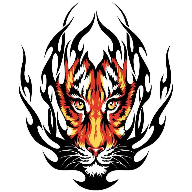 �ﻢ��Ʒ��Ƶapp2.0 �ֻ���