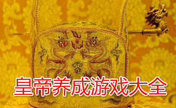 �ʵ�������Ϸ��ȫ