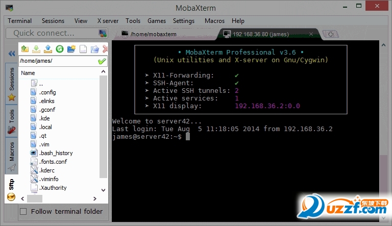 MobaXterm 10.6 Professional ʽͼ1