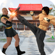 Real Superhero Kung Fu Fight ChampionĳӢ۸񶷹ھ2.0 ֻ