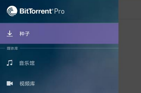 BitTorrent Pro