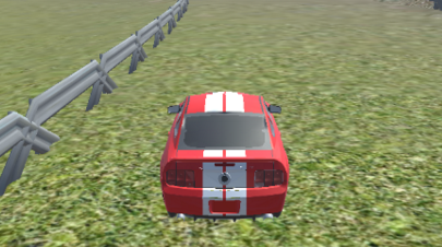 ʻҰ(Mustang Driving Car Race)