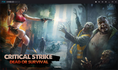 һҴ(Critical Strike Dead or Survival)