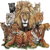 Animal Kingdom(Ƭȫ)1.0 ׷