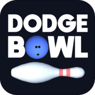 (Dodge Bowl)1.11.1 ׿