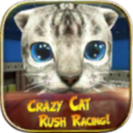 Crazy Cat Rush Racing Run Kitty Craft(è)1.0 ׿