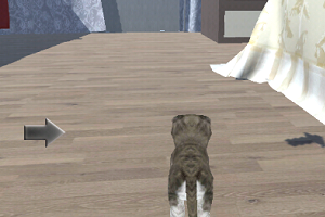 ģè3d(Cat Simulator 3D)