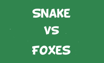 vs(Snake Vs Foxes)