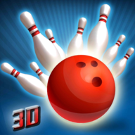ת֮(Spin Bowling Alley King 3D)1.0 ׿ֻ
