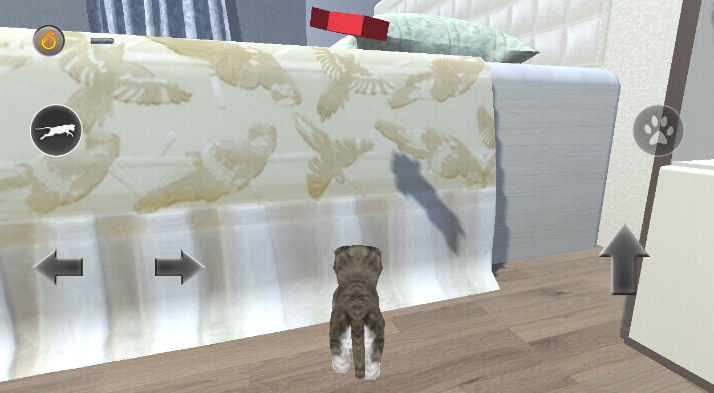 ģè3d(Cat Simulator 3D)ͼ