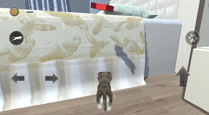 ģM؈3d(Cat Simulator 3D)؈D