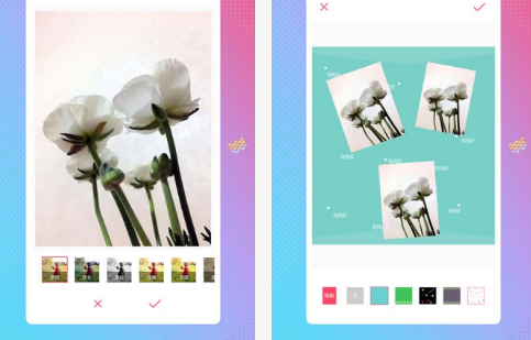ʯ���������app