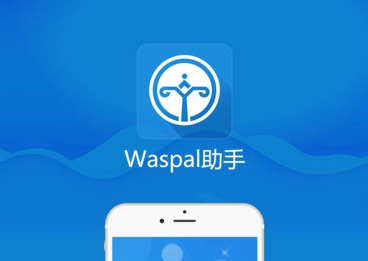 Waspal