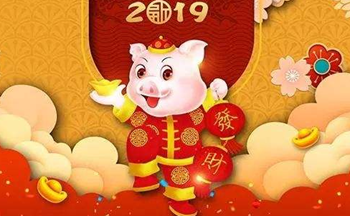 ���������Ƶ��������