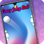 Crazy Jump Ball20201.0 ׿