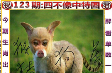 马经图库