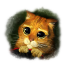 动物猫咪可爱搞笑表情包素材精选版