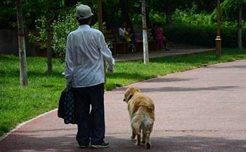 老人走路赚钱软件