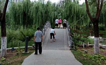 ��·ɢ��׬Ǯƽ̨