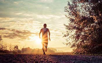 �ܲ����ֽ������