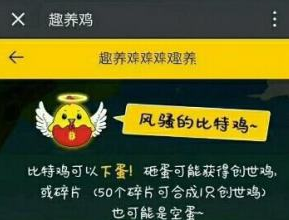 开心趣养鸡红包版 开心趣养鸡红包版