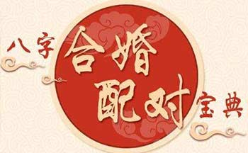 八字合婚软件