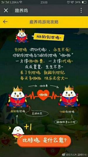 开心趣养鸡红包版截图