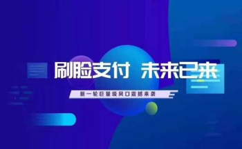 刷脸支付赚钱平台