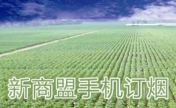 �������ֻ�������ʽ��