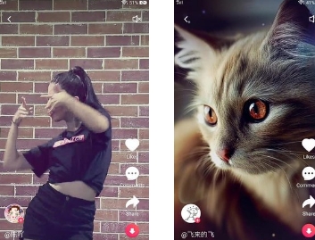 要脸短视频app 要脸短视频app