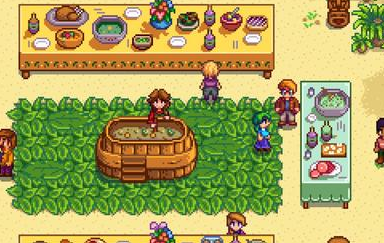 Stardew Valley˫˰