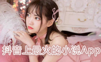 ����������С˵App