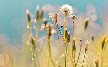 封面制作软件大全