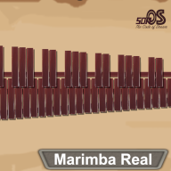 ְģ(Marimba Real)1.0.1 ׿°