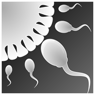 ģ(Sperm Simulator)1.2.6 ׿°