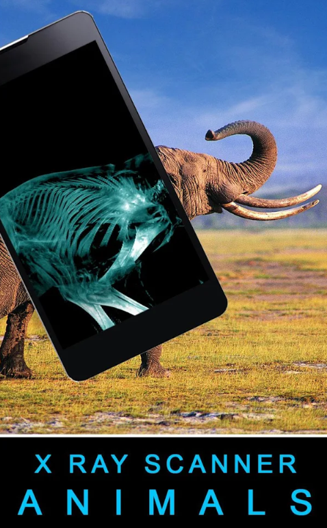 Xray Animals Prank(X侀xܛ)؈D