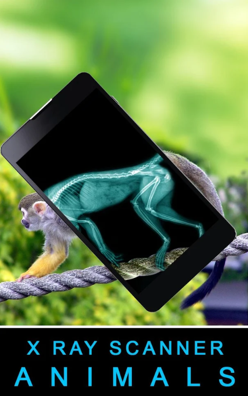 Xray Animals Prank(X侀xܛ)؈D