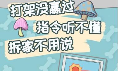 养只二哈不容易九游版 养只二哈不容易九游版
